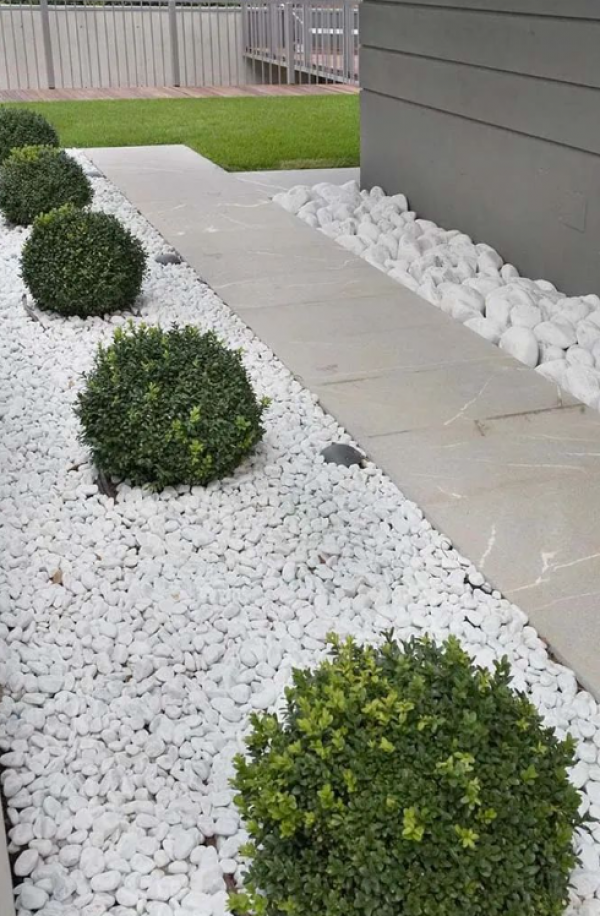 Taman dengan batu kerikil putih dan tanaman berbunga